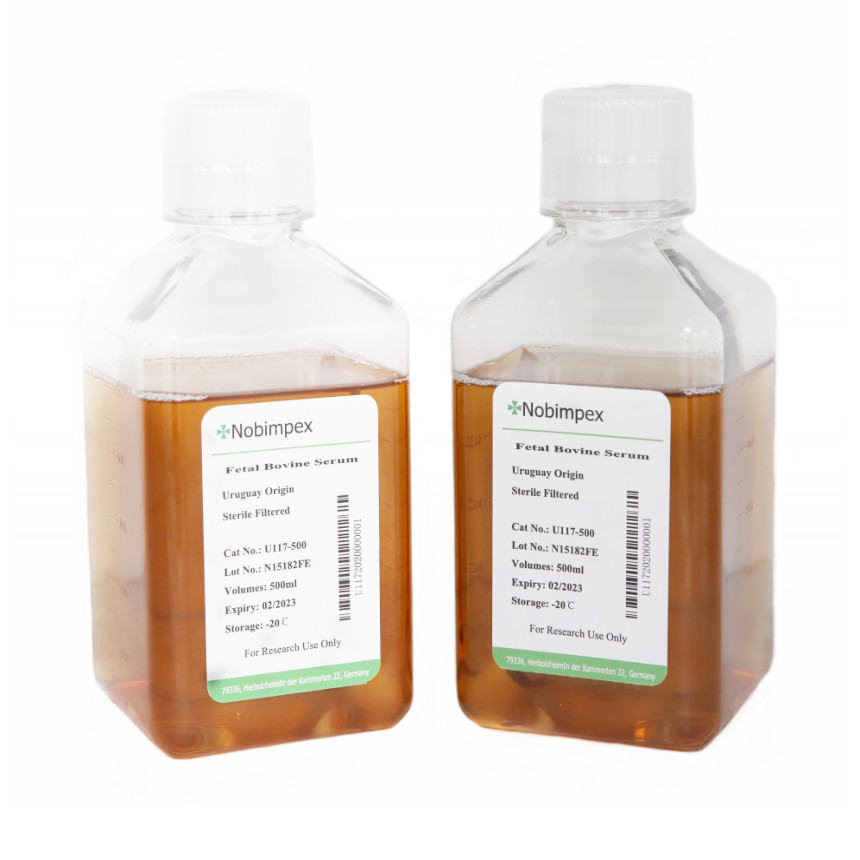 New Born Calf Serum (Iron-Supplemented)